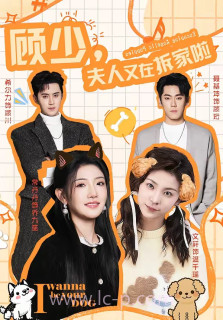 顾少,夫人又在拆家啦